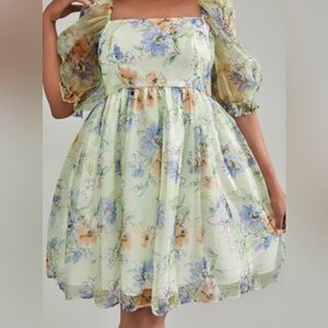 SHEIN Curve Green Floral Organza Overlay Babydoll Dress